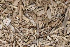 biomass boilers Van